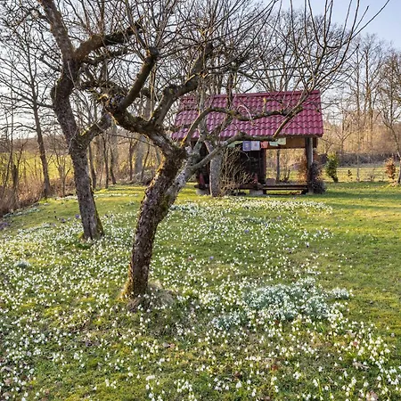 Titz Holiday home *